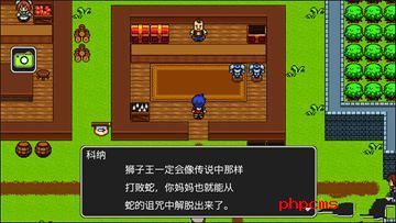 狮子王传说