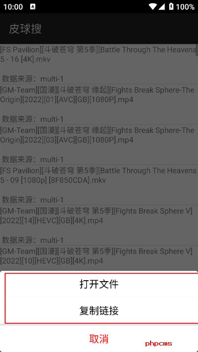 皮球搜app下载最新版2024