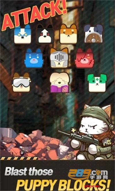 猫狗的呼唤官方游戏