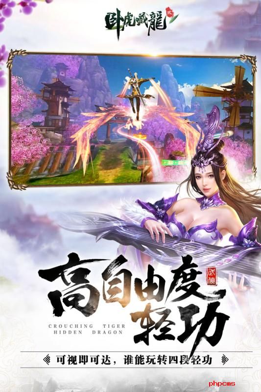 卧虎藏龙贰游戏