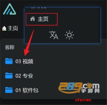 vidor软件下载最新版本