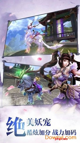 天影双剑游戏