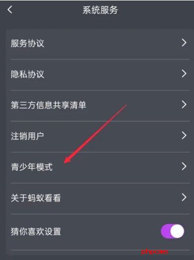 蚂蚁看看短剧