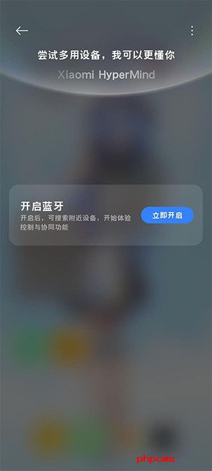 小米互联服务