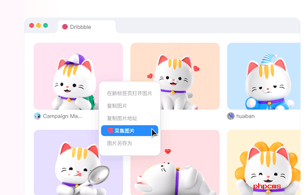 花瓣采集工具电脑版